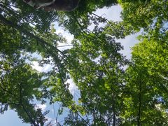 -桤木河湿地公园