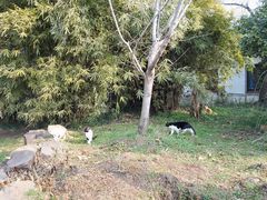 -苏州上方山国家森林公园