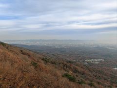 -紫金山山顶公园