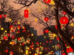 -中国翰园碑林