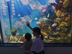 -福州罗源湾海洋世界旅游区