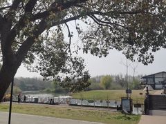 -南湖湿地公园