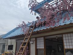 -Blue Concept Cafe&Farm·關於藍