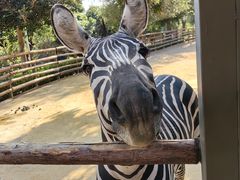 -泉州海丝野生动物世界