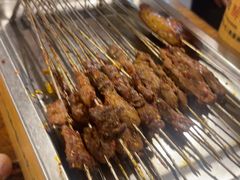 -福苗小骆驼烧烤(莲湖路店)