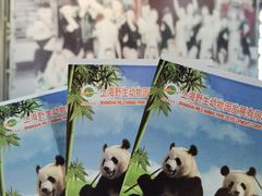 -上海野生动物园