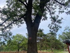 -承德避暑山庄景区