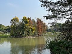 -海珠湖公园