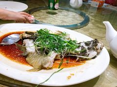 蒸鲩鱼-朱仔记食府(江南大道店)