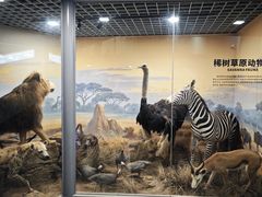 -山东省科技馆(新馆)