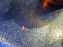 -重庆小天鹅火锅(中商广场店)
