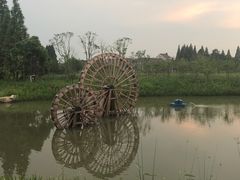 -长田漾湿地公园