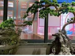 -星河湾温泉洗浴酒店