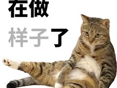 -农乐园炭火烤肉(世茂店)