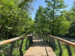 -白水寺森林公园