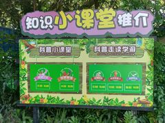 -广州长隆飞鸟乐园