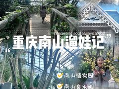 -南山植物园