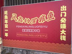 -风鑫铃罗非鱼(道沟店)