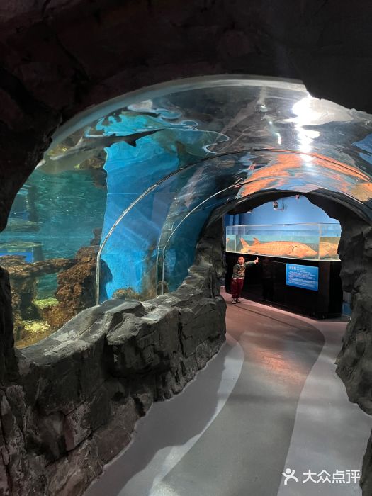 国家自然博物馆图片