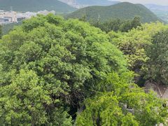 -云龙山