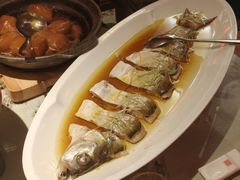 清蒸大白刁-潇湘甲鱼村(清河店)