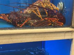 -阳光海鲜城(太仓万达店)