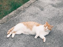 -上海浦江郊野公园-3号停车场