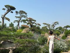 -罗红摄影艺术馆