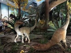 -湖南省地质博物馆