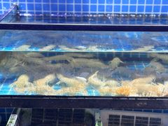 -吉友粥底火锅(方斜路店)