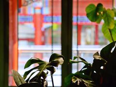 -Catch Bagel(芳草地店)