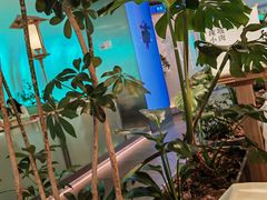 -桂满陇·杭州小馆(巴黎春天浦建店)