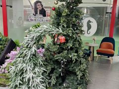 -海马体照相馆(北京apm店)