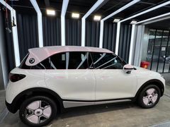 -上海浦东smart汽车全功能店(金桥店)