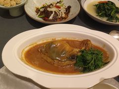 -沈灶河豚宴·河豚融合餐厅(汉中路店)