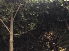 -星巴克(西湖天地店)