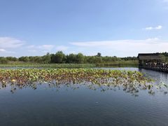 -溱湖国家湿地公园