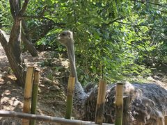 -竹泉村旅游度假区