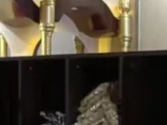 -碧中海汤泉汗蒸酒店