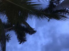 -越海渔村