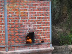 -草庵摩尼教遗址公园