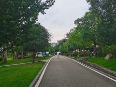 -枫香湖儿童公园