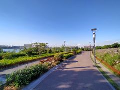 -立新湖公园