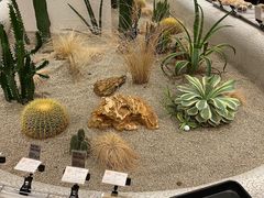 -OUR Bakery(SKP-S店)