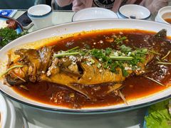 压锅炉鱼-鲜得莱渔港·小平岛海胆馆(七贤岭店)