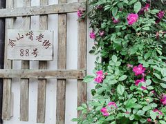 -金山嘴渔村