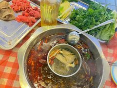 -金鼎雪山牦牛杂火锅(理县总店)