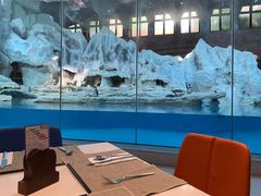 -帝企鹅自助餐厅•儿童岛•真企鹅(长隆企鹅酒店)