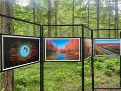 -黄海国家森林公园