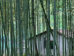 -富春桃源风景区